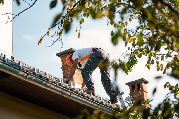 Best Commercial Roofing Services  in Fairmont, IL