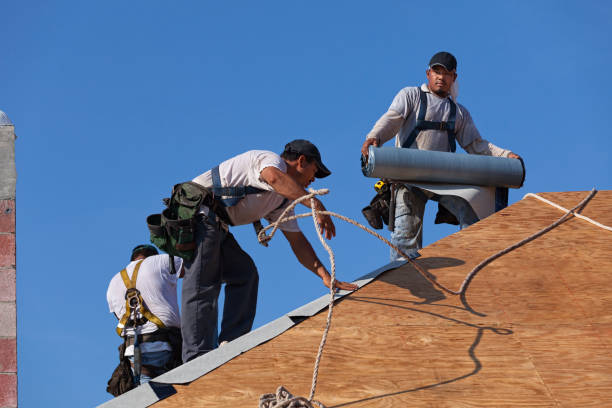 Best Roof Repair Services  in Fairmont, IL