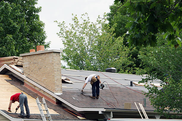 Best Roof Gutter Cleaning  in Fairmont, IL