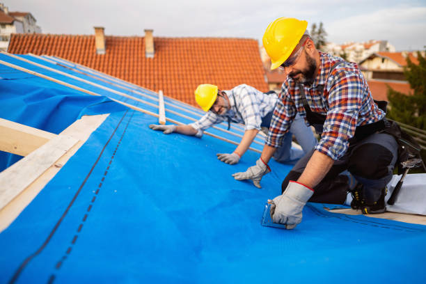 Best Gutter Installation and Roofing  in Fairmont, IL